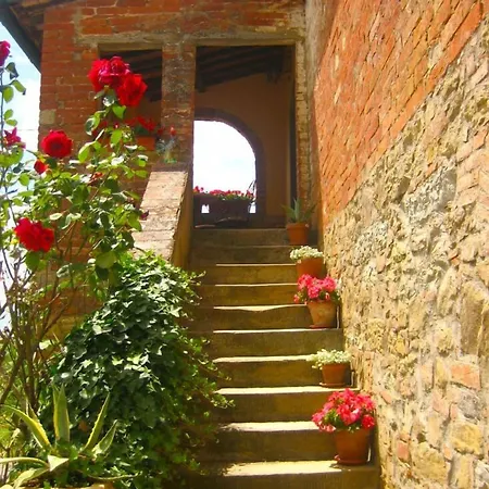 Cecilia Villa Castiglion Fiorentino